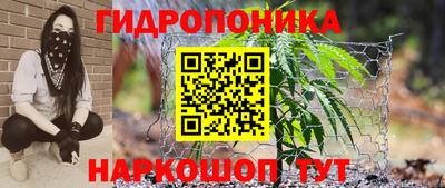 гидра Краснодар