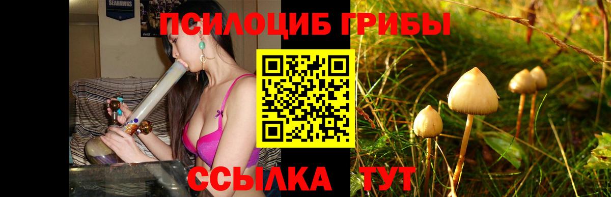 купить  сайты  Галлюциногенные грибы MAGIC MUSHROOMS  Вход с VPN  Коркино 